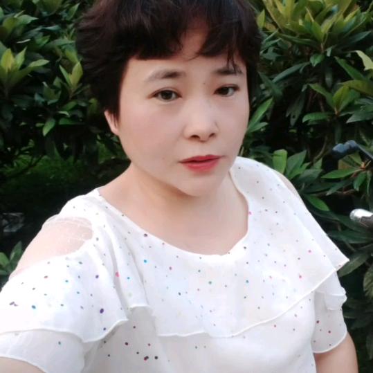 开心果
