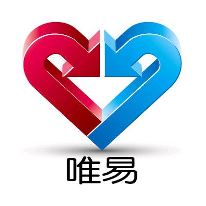 海龙电脑科技