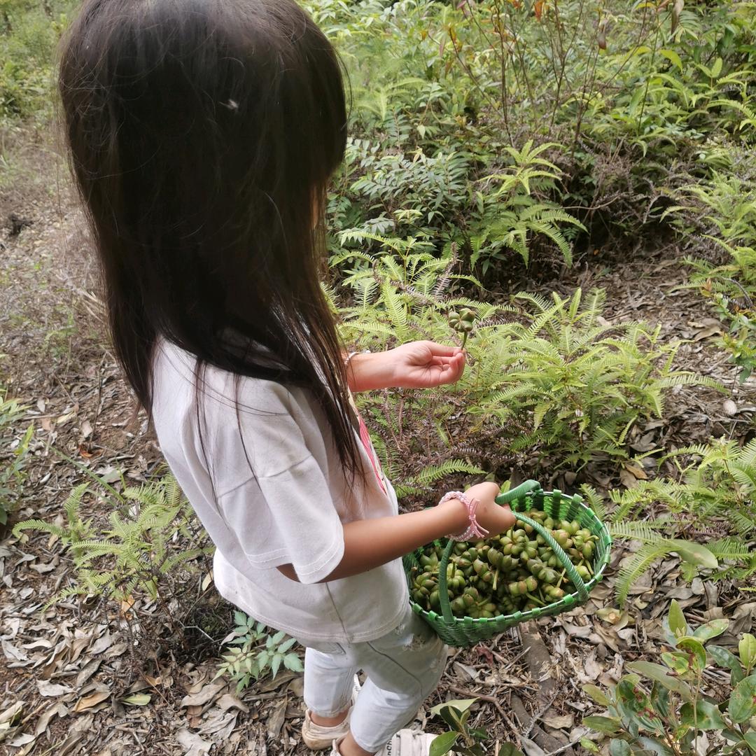 时光 …