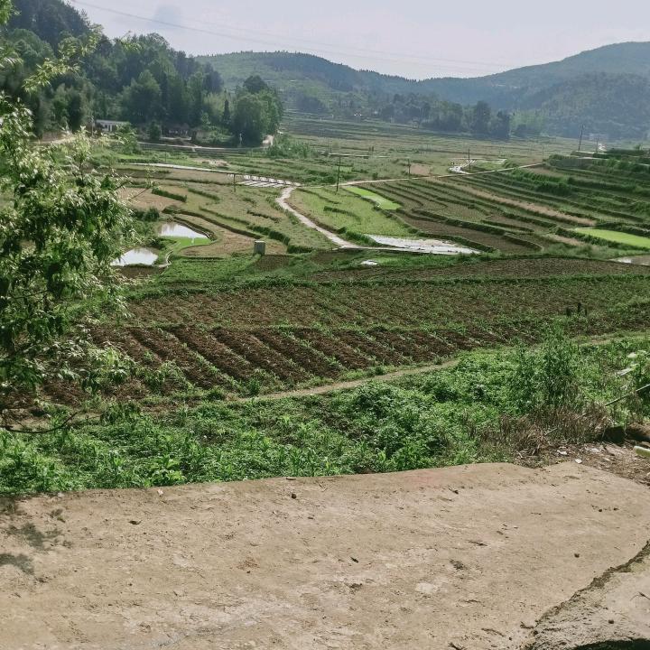 生态农哥