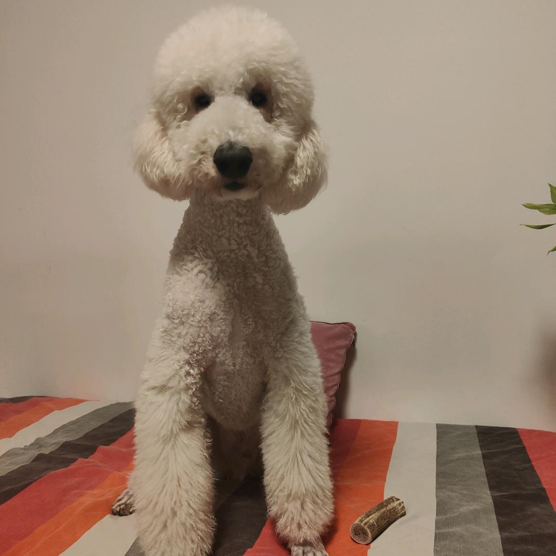 天亮会好的