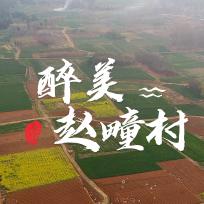 醉美赵疃村