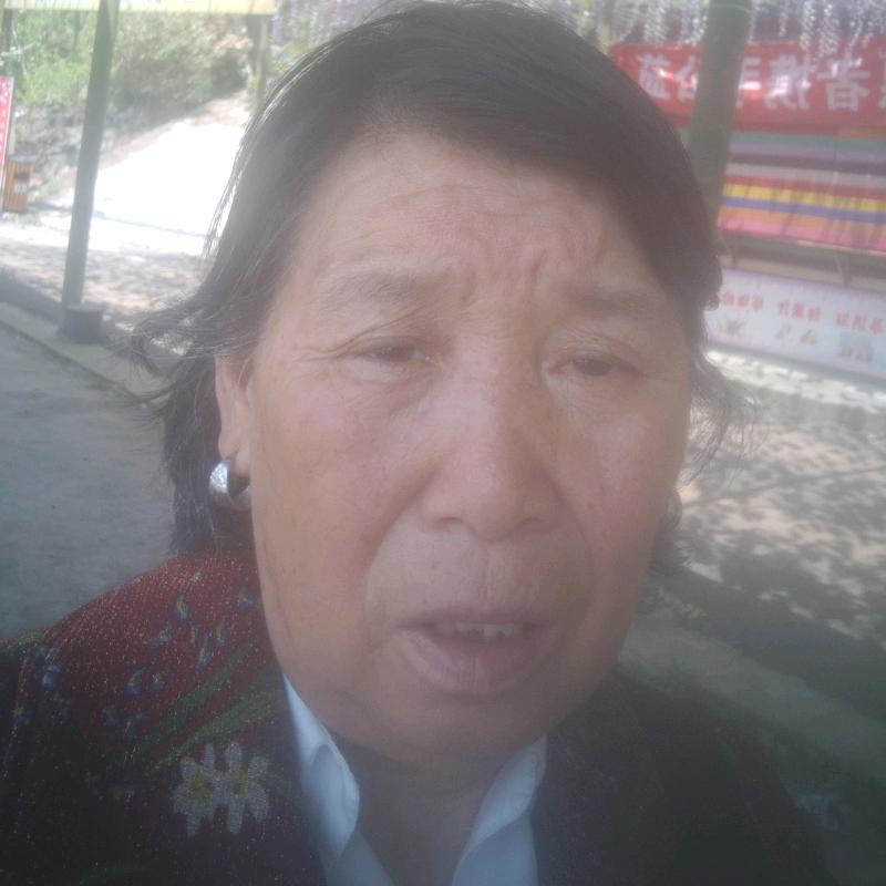 人生百态2020