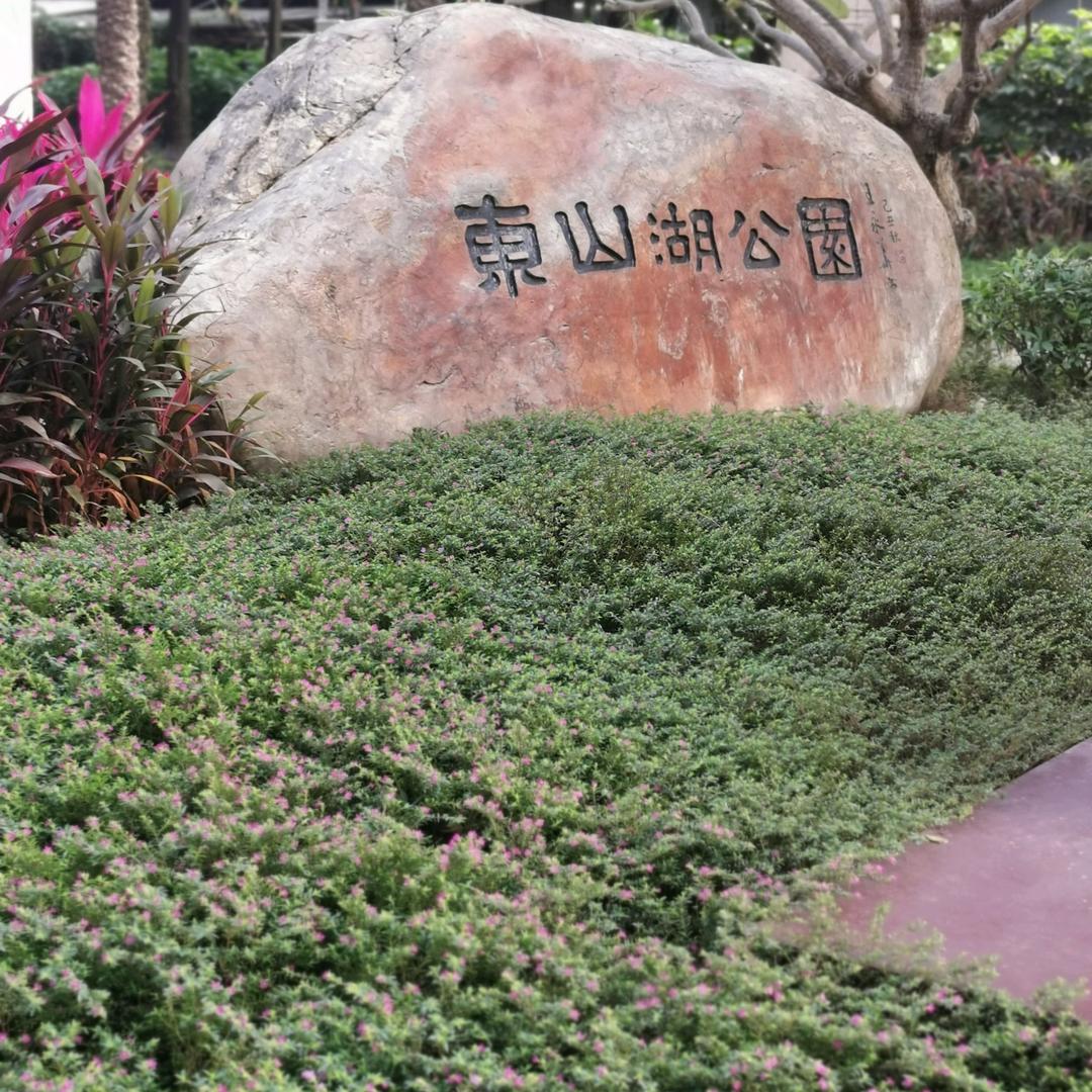 🥀ঞ清晨💞࿐