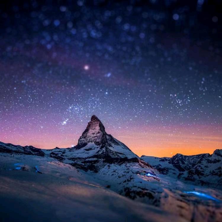 🥀ঞ四海之内皆熊弟¹³¹⁴ృ༊