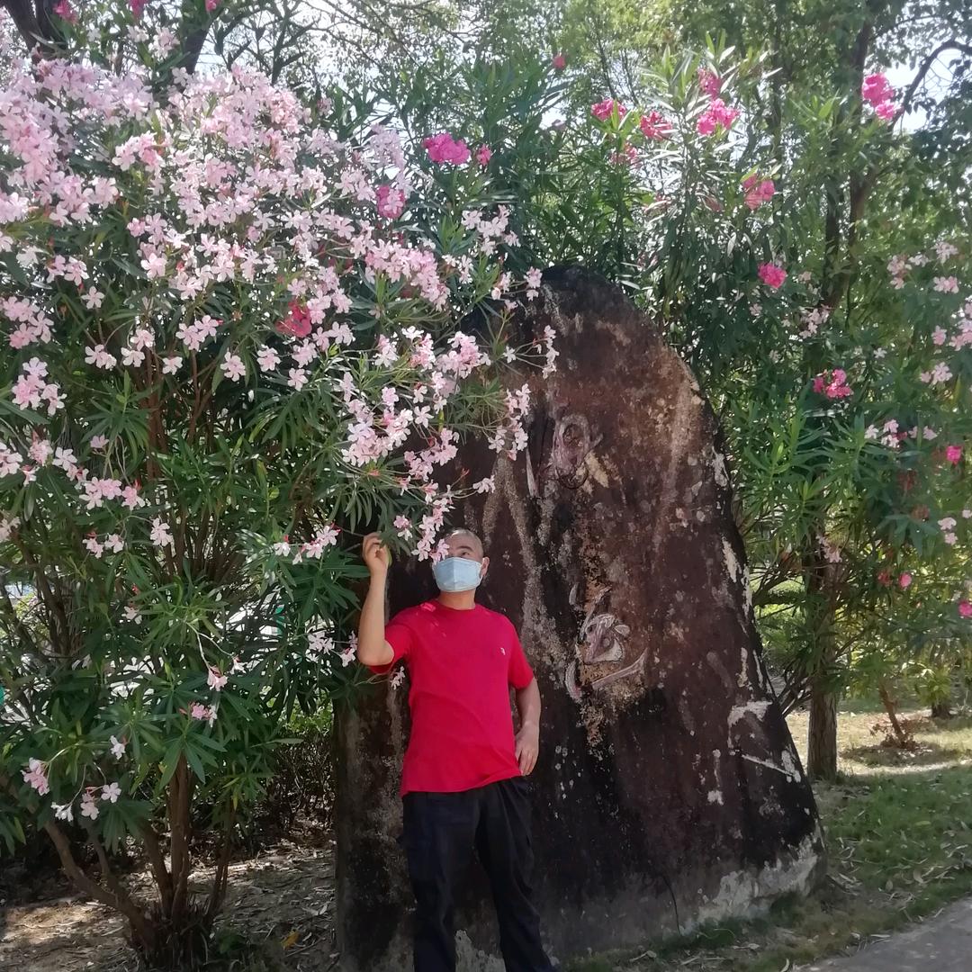 宝哥