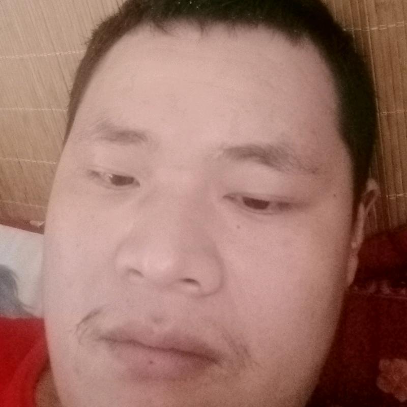 许进东
