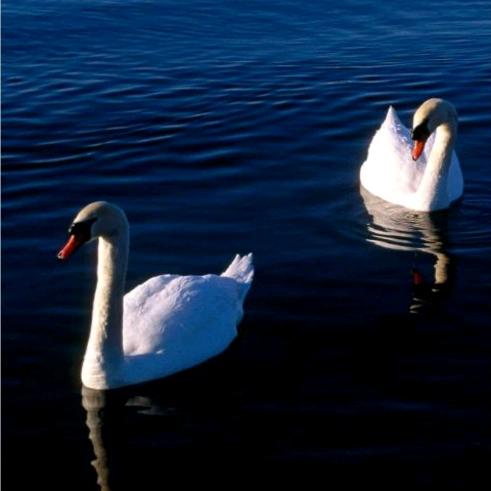 三十多个孩子的一个爹