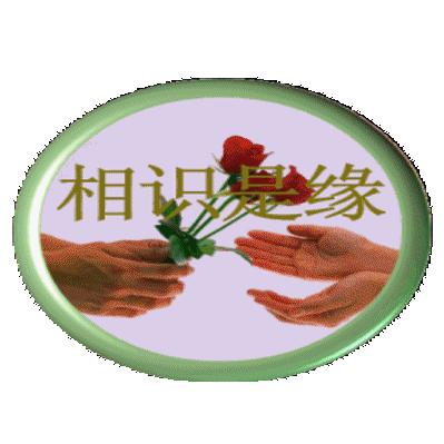 🔎人海浮萍🔍