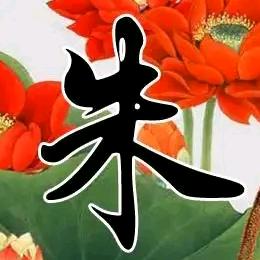 一路有妳