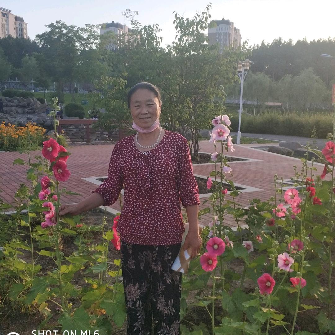 美女没烦恼