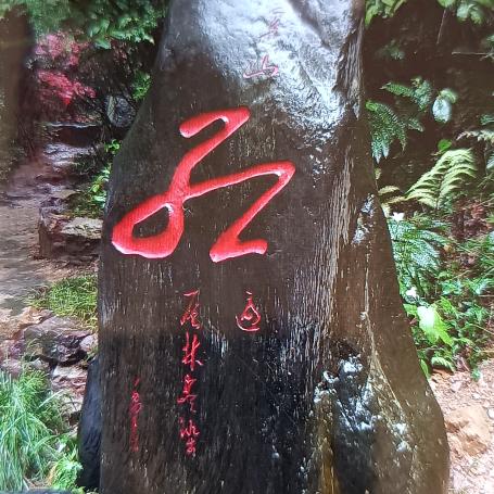 自由人生