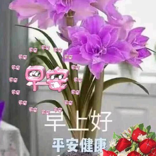 一生幸福。