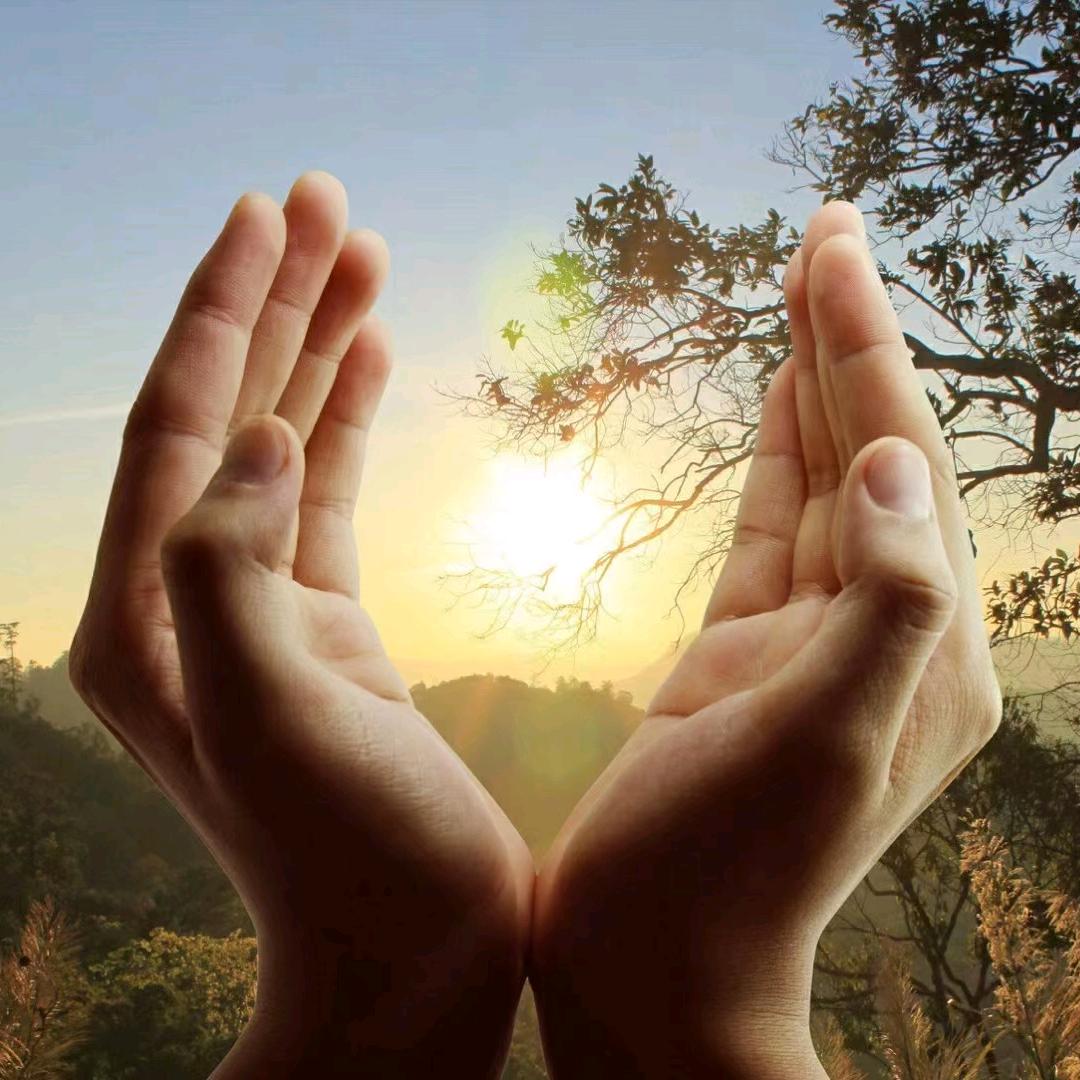 🌹掌上名朱🌹