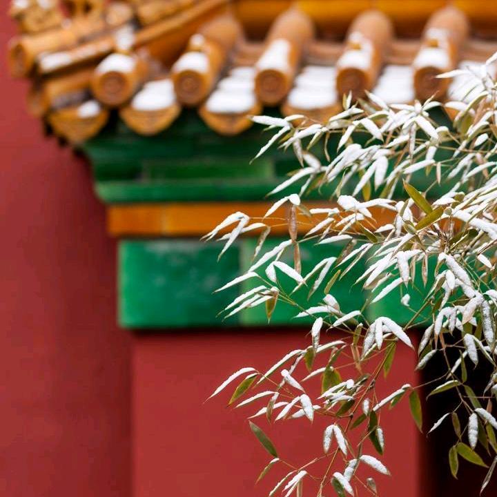 不慕繁华