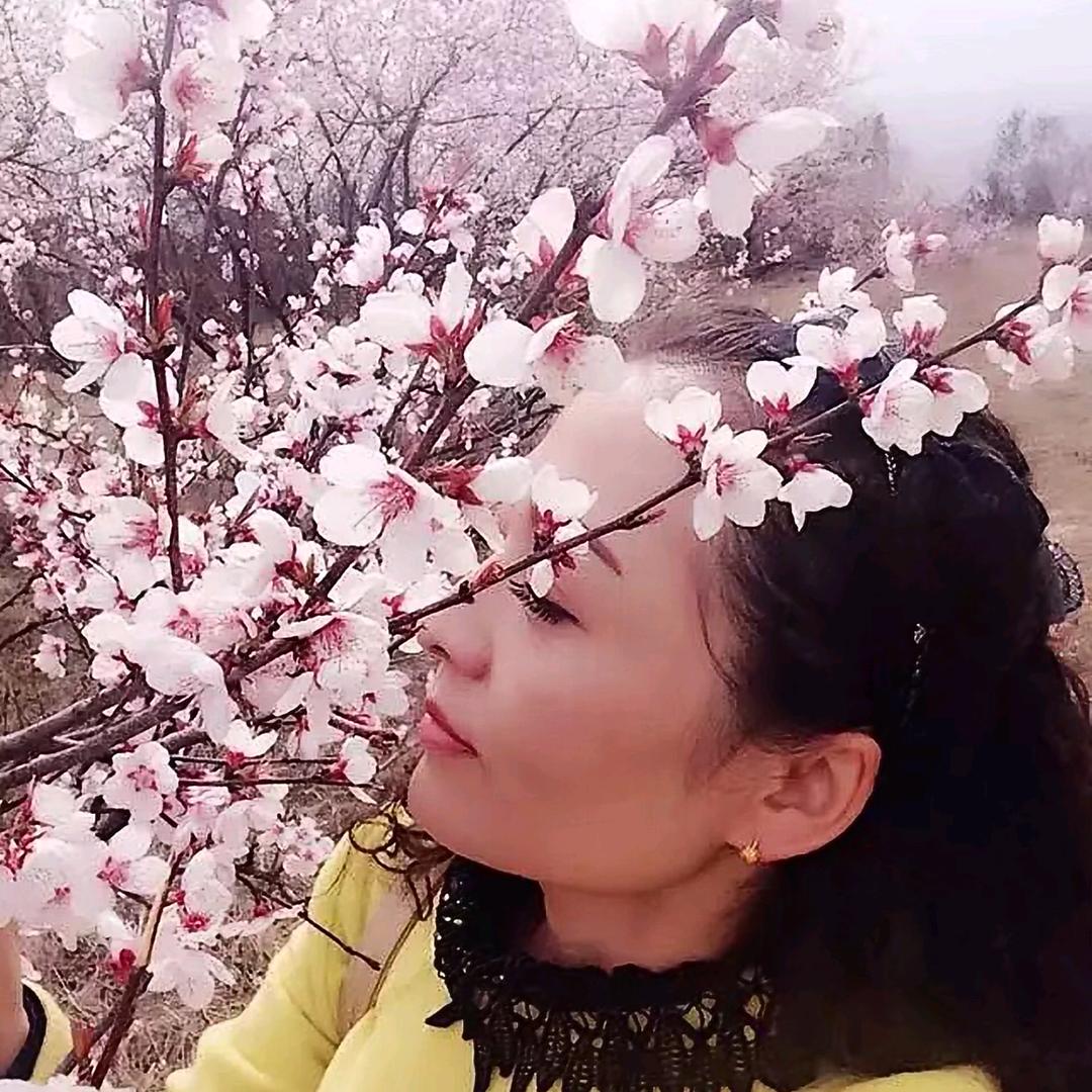 看海