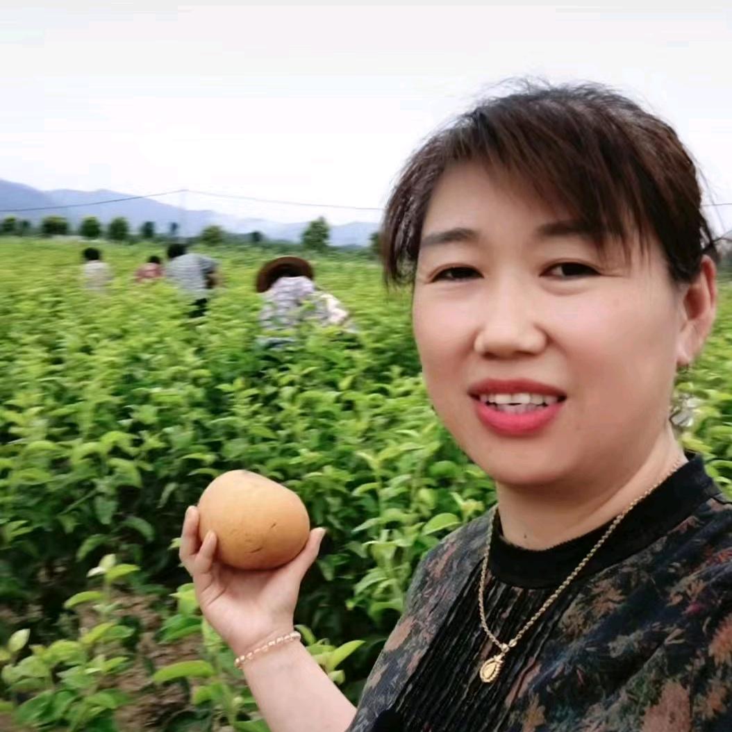 南阳伟奇苗木 刘姐