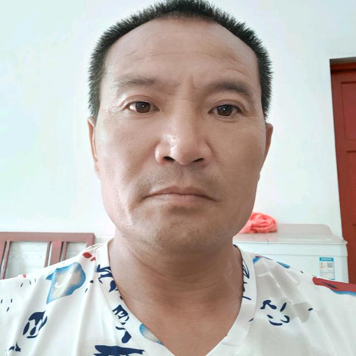 自由如风