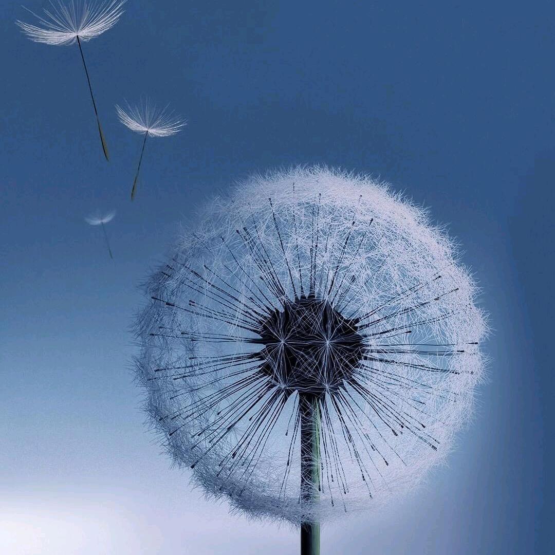 河南鑫晟硕机械设备有限公司