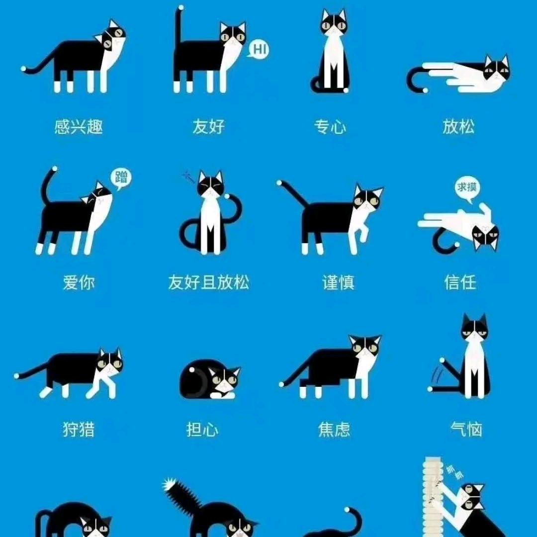 司马错
