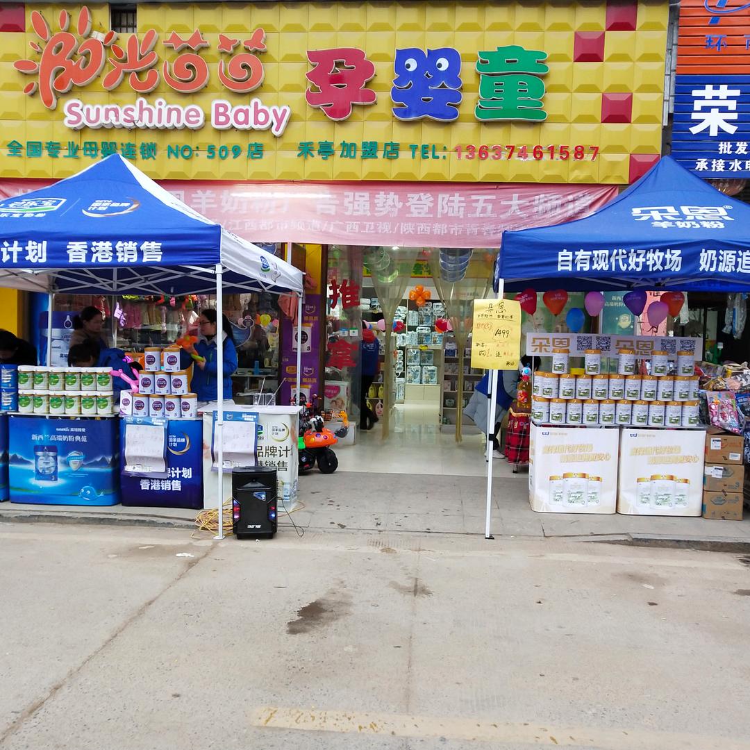阳光苗苗