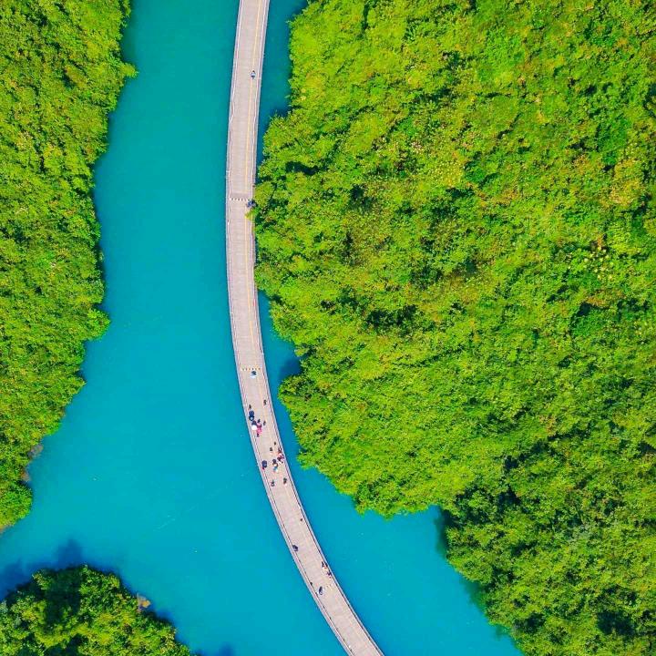 红姐请不要连续点赞。