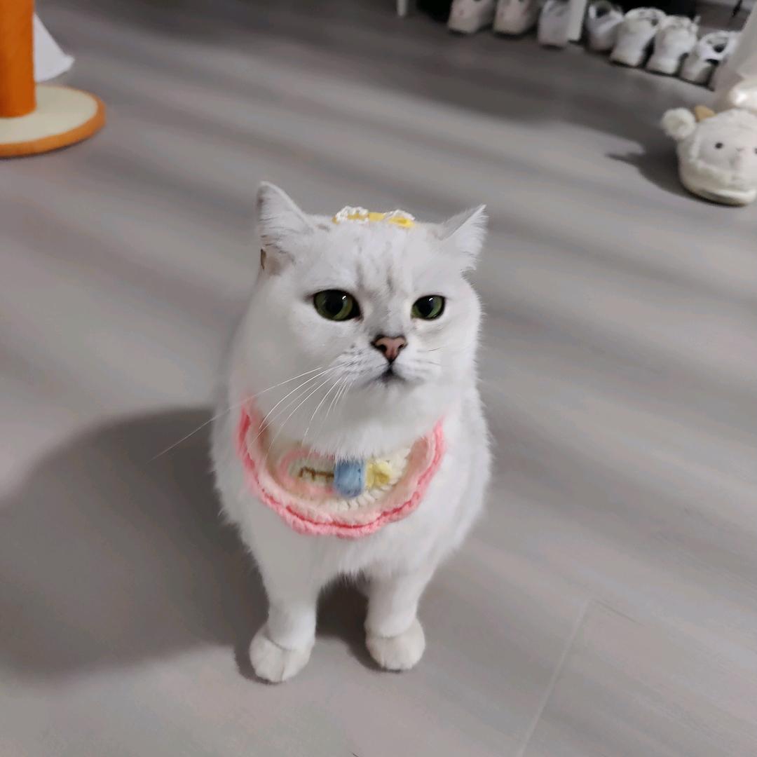 两个w