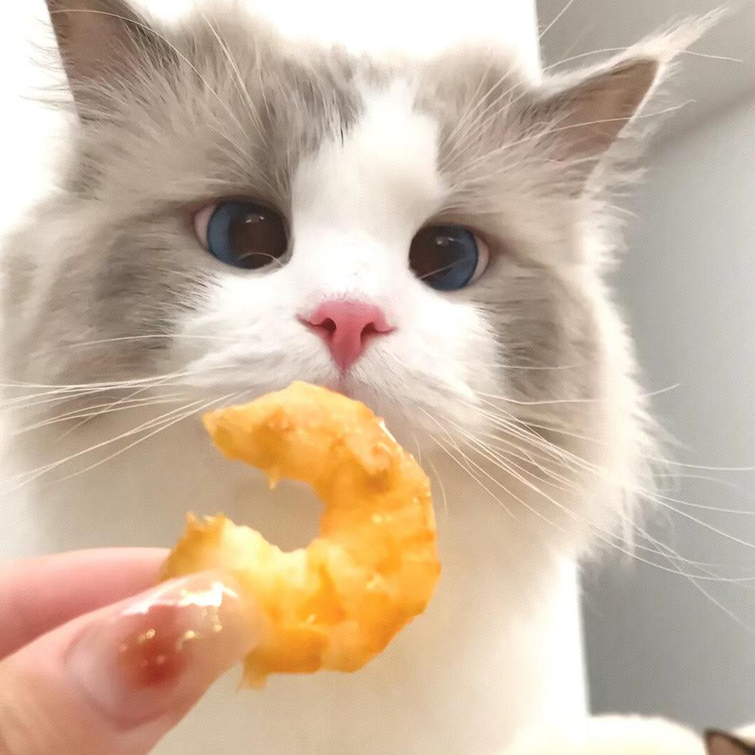 🍤
