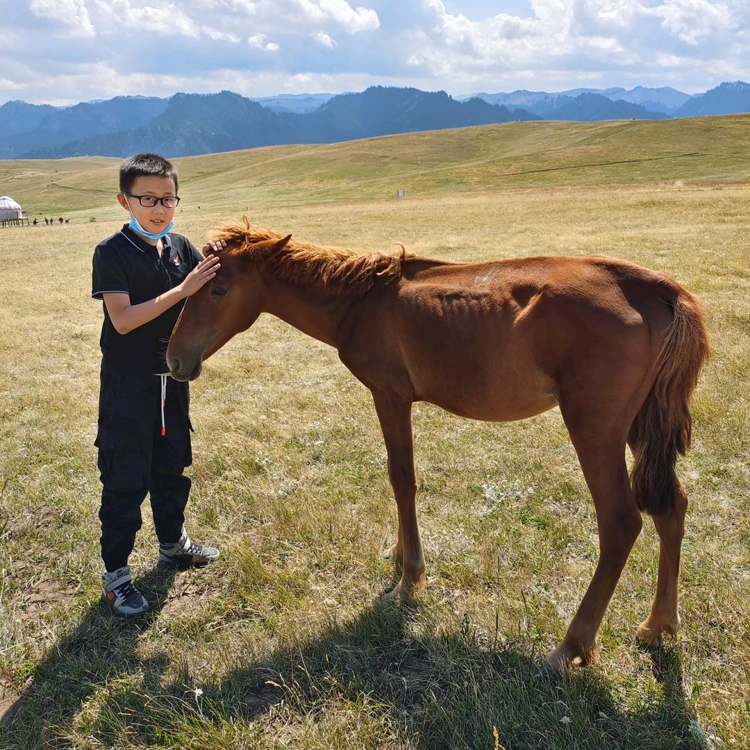 大美新疆《姚刚》
