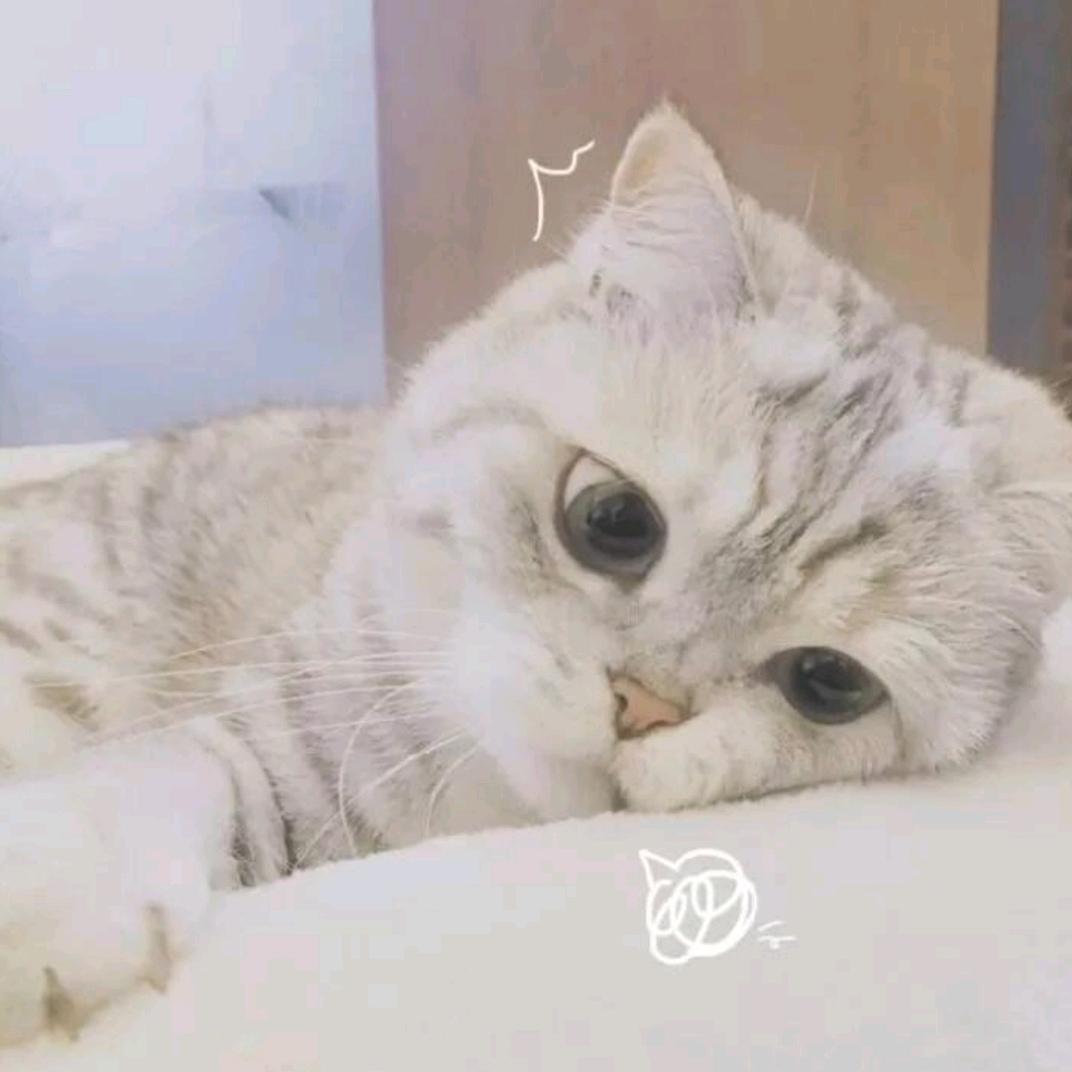 快乐、