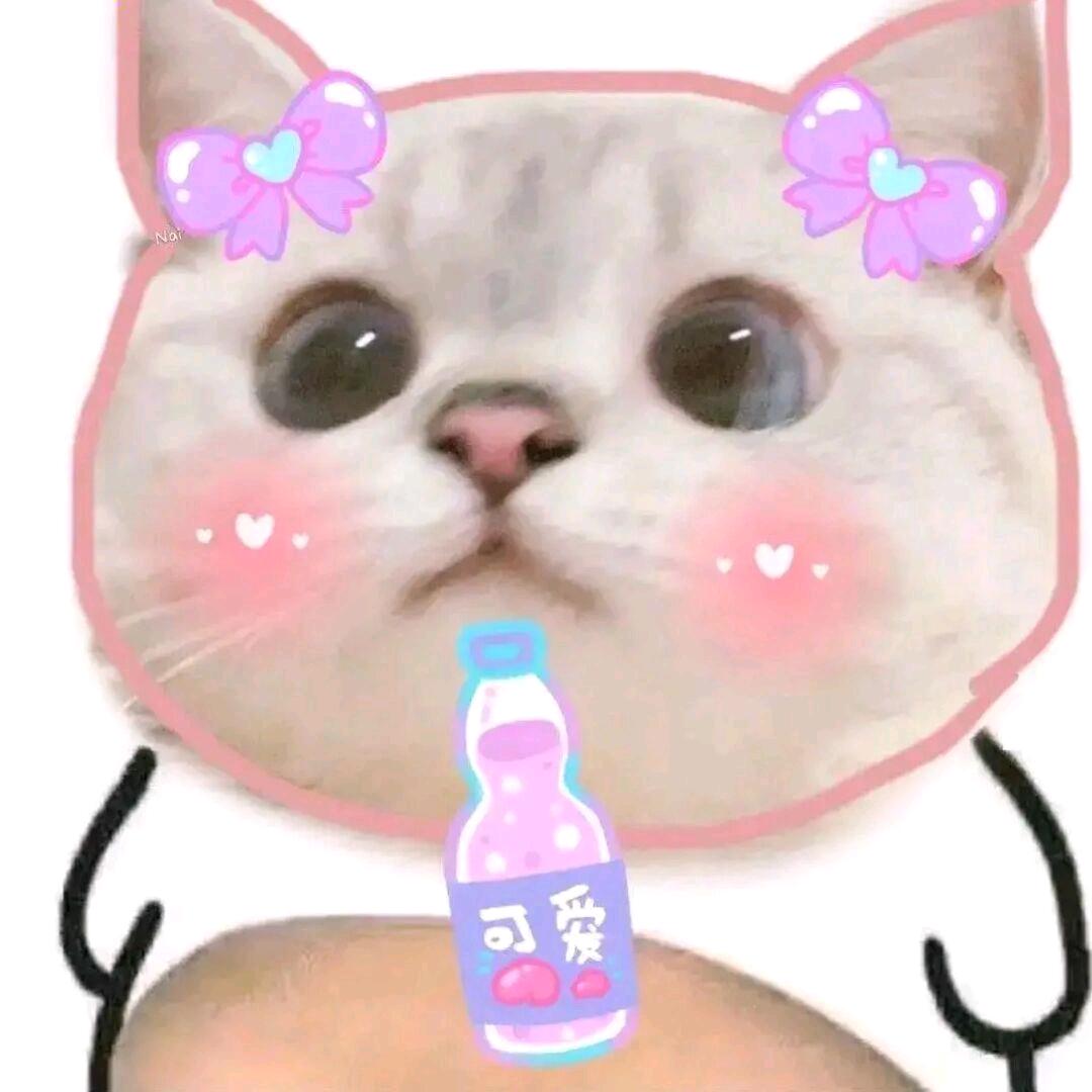 起风了丶