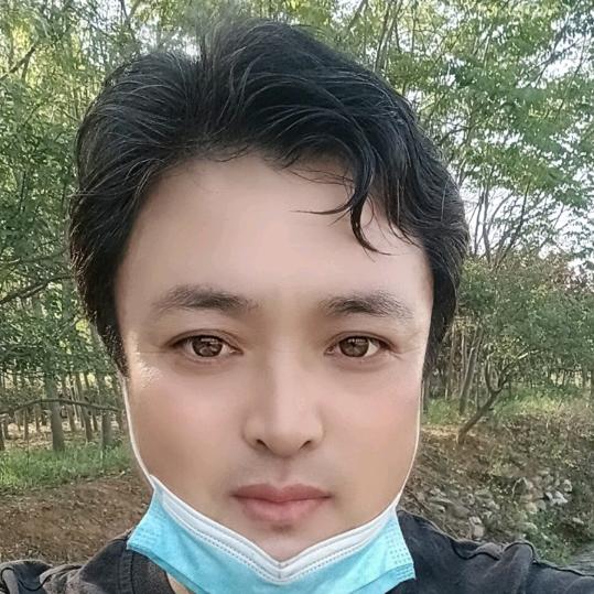 龍在天