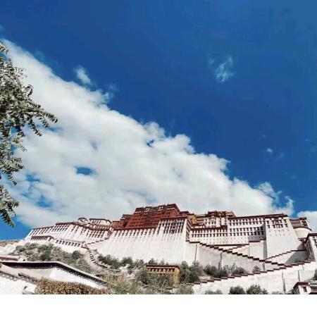 阳光塑料五金工具注塑加工