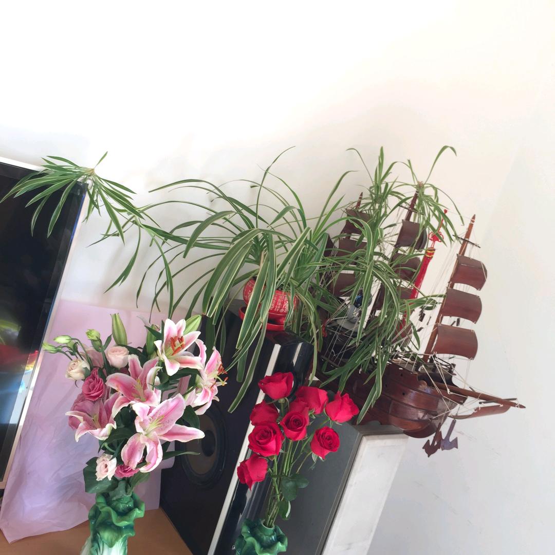 琴瑟和鸣