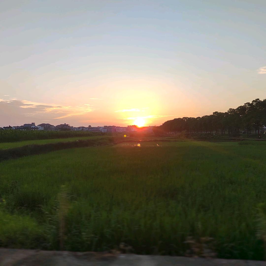 杰克西