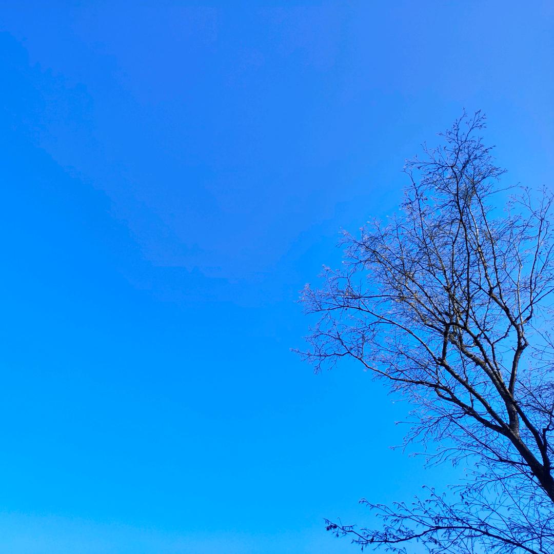 派派