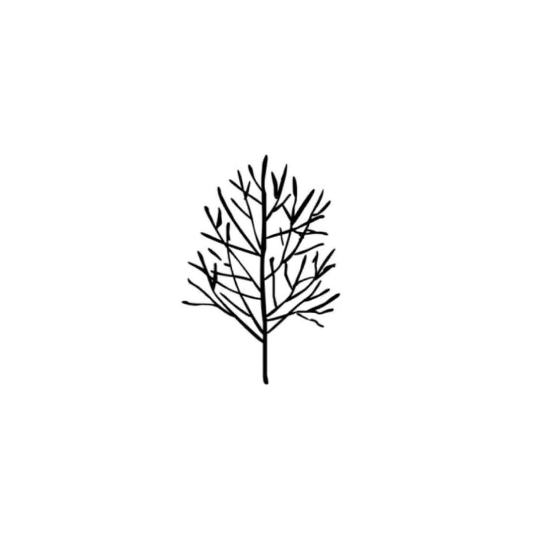 無山
