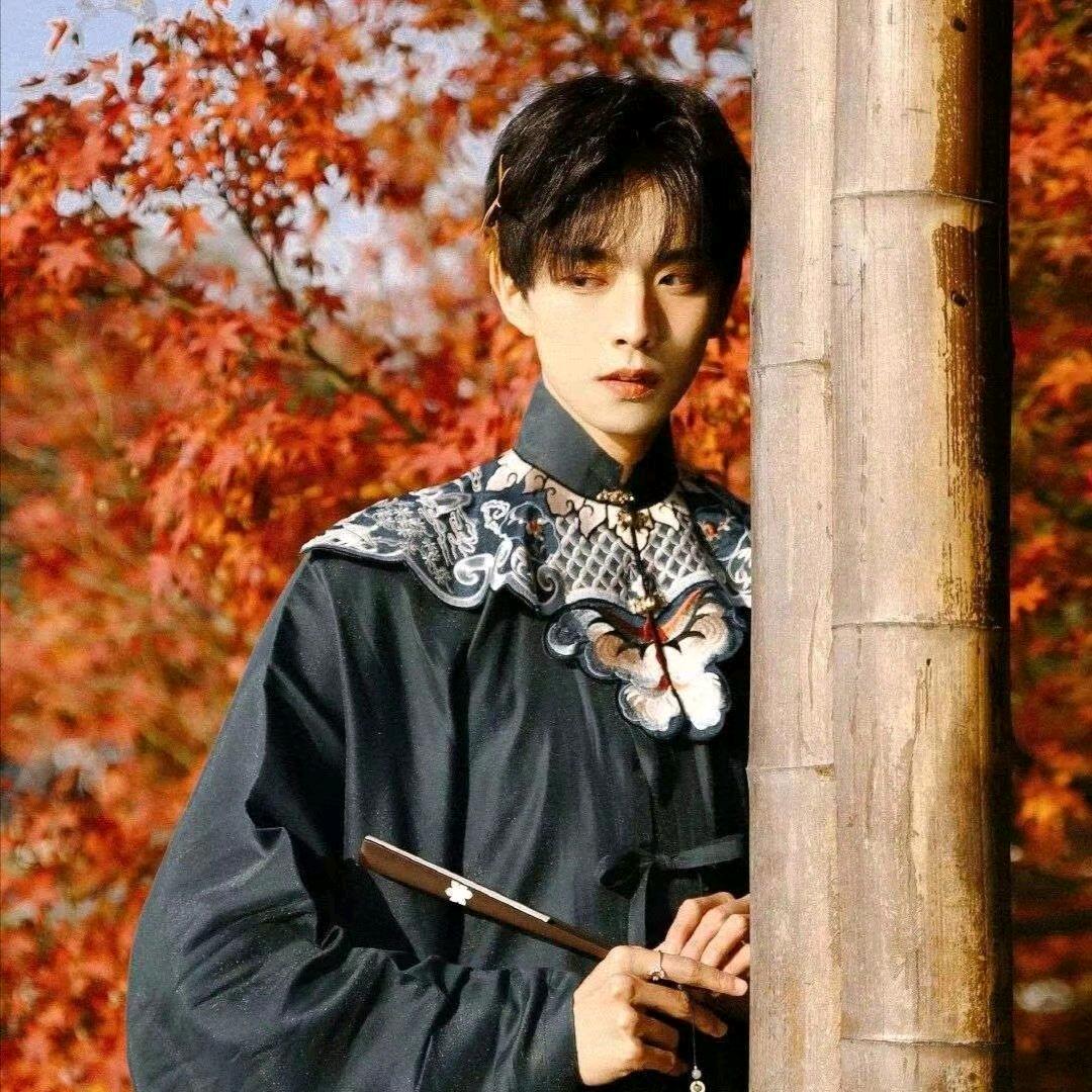 个人📷摄影琛琛（旅游版）