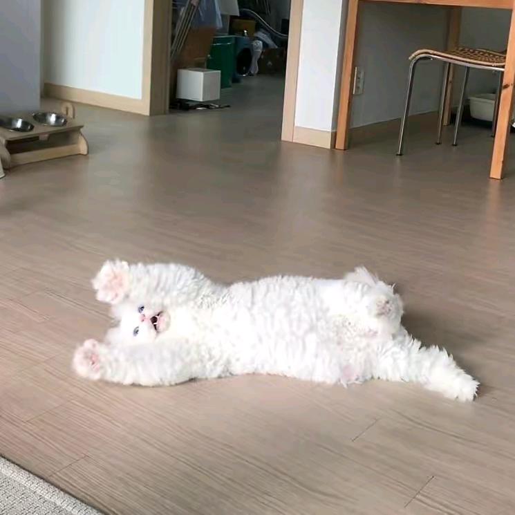 zzz...