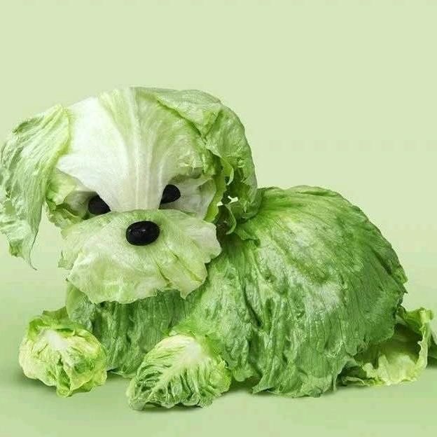 利玲商贸