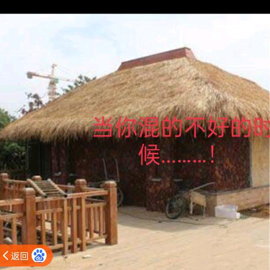 毛老毛