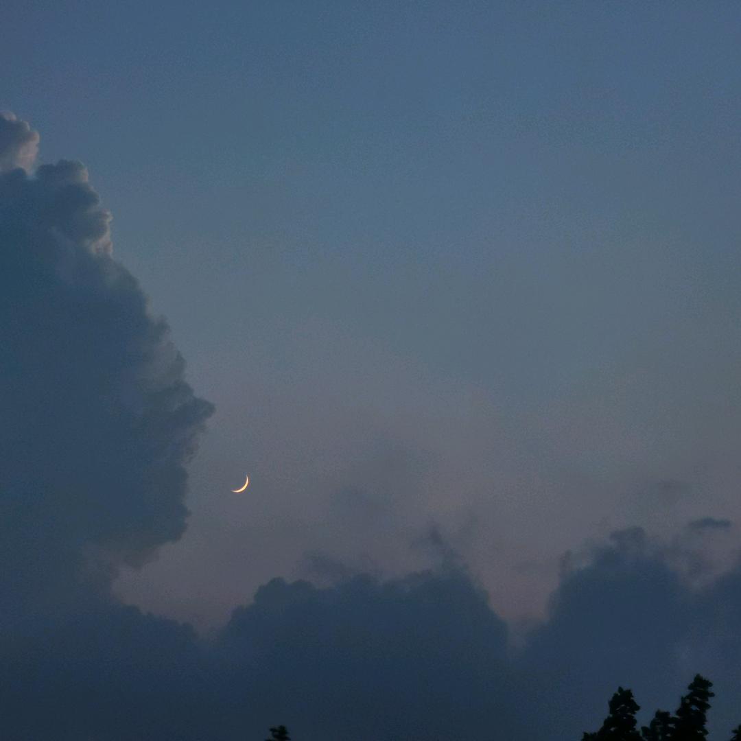 唉哟、你干嘛🐸🌹