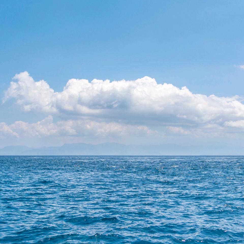 红💋💫✨