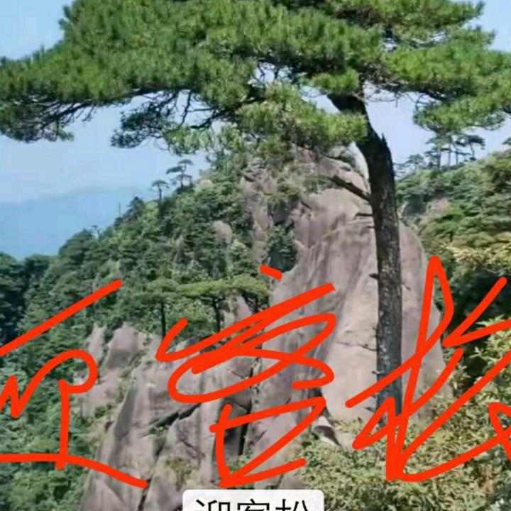 用户5816208884747