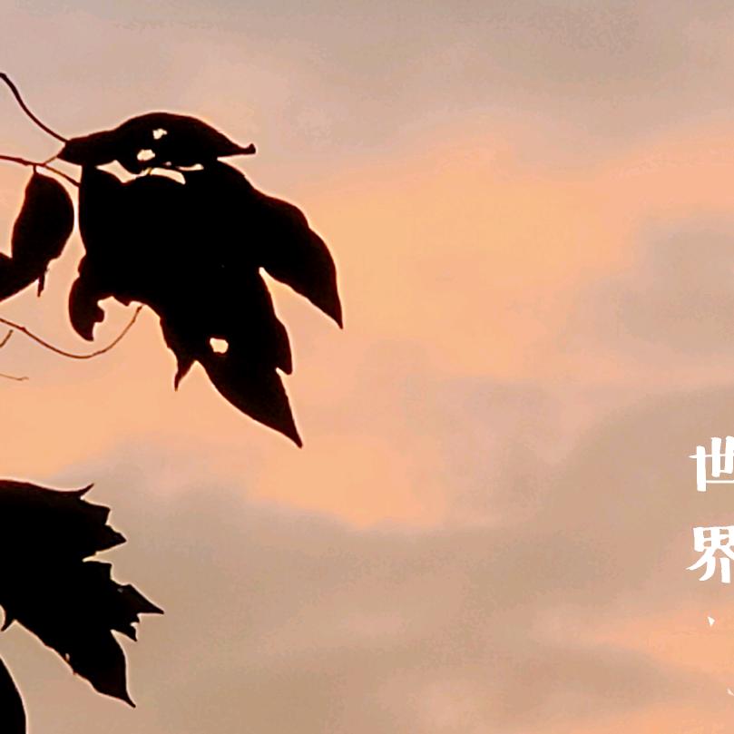 肥老杨