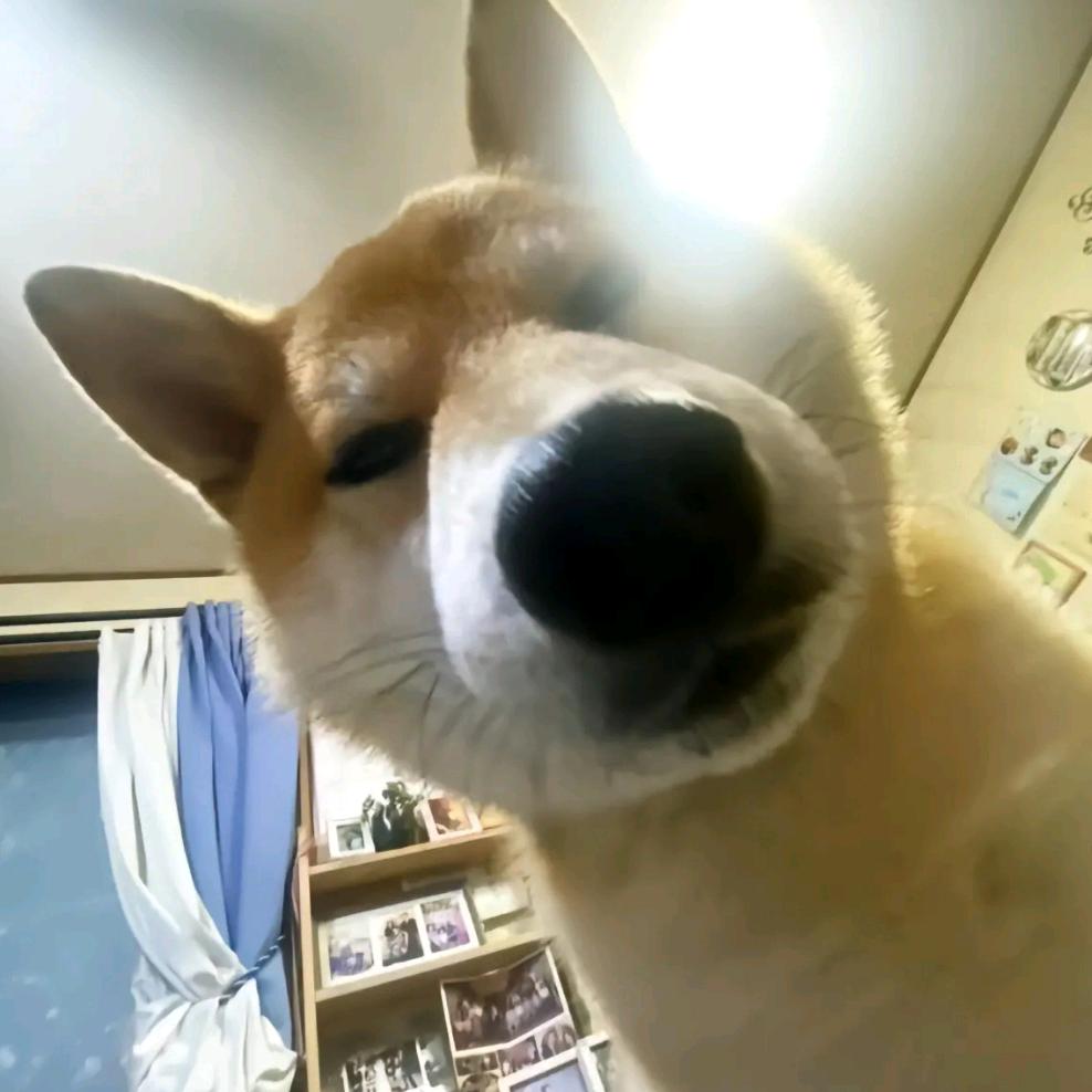 汤里路