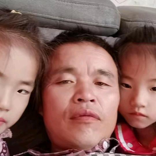 游八老棚拱球出租