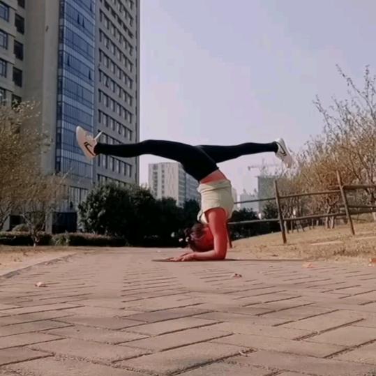 彩莲瑜伽