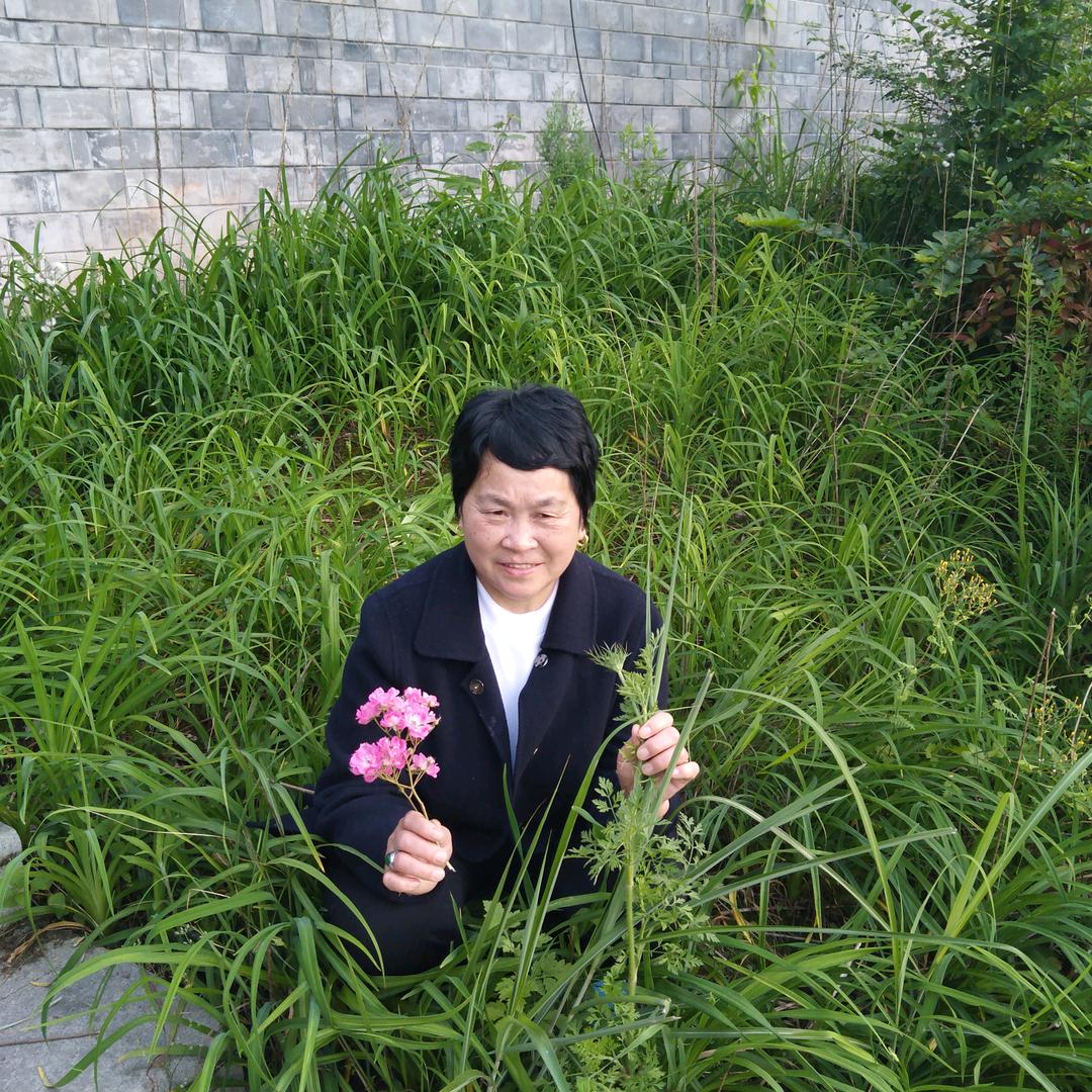 向祖连