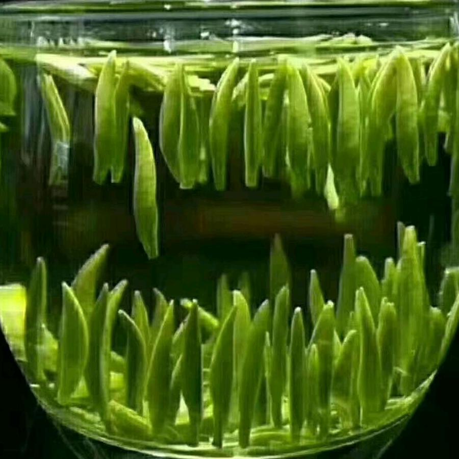 打酱油